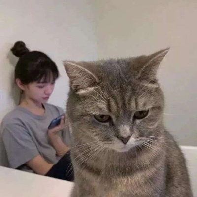 老韩詹姆斯或许她是刘美茹