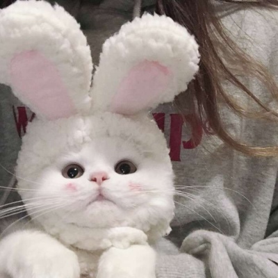 变性黑人难民素食主义者孙笑川